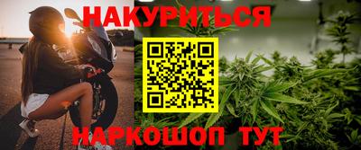 прущие грибы Будённовск