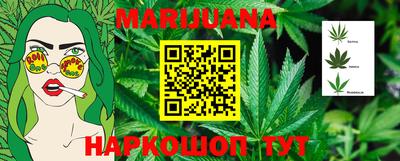 прущие грибы Будённовск